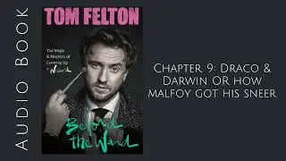 Beyond The Wand // Chapter 9