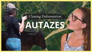Are buffaloes taking over the Brazilian Amazon? | Chasing Deforestation