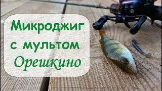 Микроджиг с мультом.  Орешкино