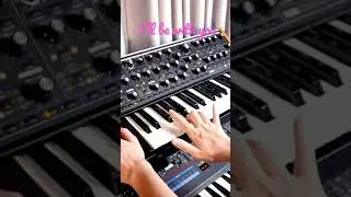 I’ll be with you #shorts #lofihiphop #lofimusic #chill #music #rhodes #moog #juno106 #dx7 #synth