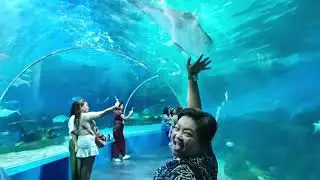Concentrix OneFamtasticDay at Manila Ocean Park | Julz Castillo