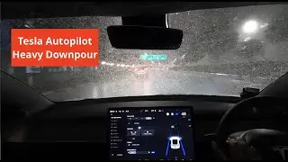 Tesla Autopilot in Singapore: Heavy Rain Drive