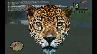 Ночные гонщики l Arizona RP