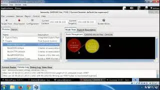 Remote Exploitation   Hacking Wordpress Webportal and Rooting CentOS server
