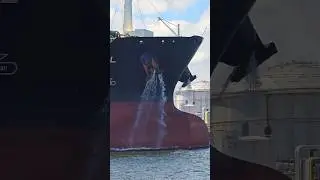 💎 SEA JEWEL 💎 Crude Oil Tanker