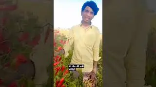 🤣🤣🤣मेरे भैया की फनी कॉमेडी  👌👌नहीं तुमने म्यूजिक होगी