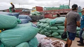 MUITAS VARIEDADE DE RACAÕ SAL SILO DE MILHO REMEDIO PRA MOSCA E CARRAPATOS 08 11  2024