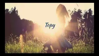 Topy Startup - Plug and Play