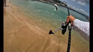 Fishing INSANE beach INFESTED with BIG TARPON (HUGE FISH)