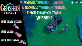 [Genshin Impact] Пыльца туманного цветка, Мешочек с туманной травой, Пучок туманной травы. Где взять
