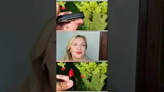 Рожевочервоний