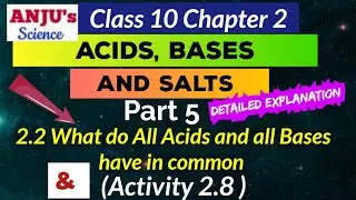 Part 5 What do all Acids and all Bases have in common || Acids Bases and Salts class 10