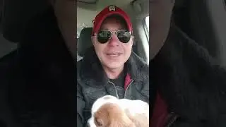 Анекдот. Усы улитки...