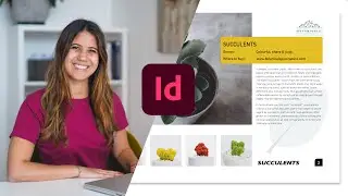 Beginners Guide to Adobe InDesign: The Essentials | Learn Layout & Design - Promo video