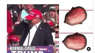 Összeesküvés elméletek a Trump merénylet hátterében!