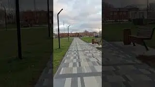 10 ноября 2024 г.