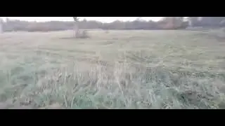 19 октября 2024 г.