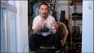 Тема Генных Ключей.