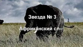 Охота на Большую Пятёрку (BIG FIVE) HD