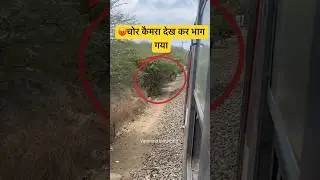 😡Mobile Snatching Gang Run #Mobile Theft #shorts #youtubeshorts #railway #indianrailways #train