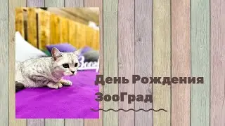 День Рождения ЗооГрад