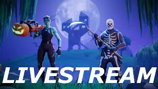 Fortnite Duo|Entdecker Pop up Cup
