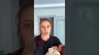 Ablam sonunu böyle beklemiyordu 😄