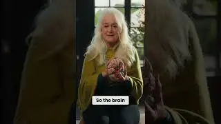 Unlocking Your Brain's Potential: Harnessing Optimism