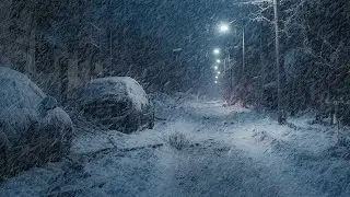 Silent Snowstorm Streets: Relaxing Blizzard Sounds for Restful Sleep