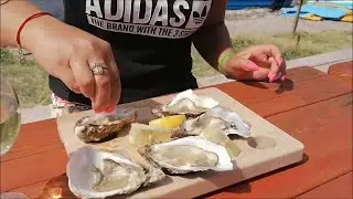 Устричная ферма в Одессе! УСТРИЦЫ СКИФИИ сколько стоят? Как есть устриц?
