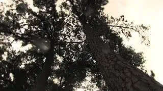3MAN9 SNIPPeT (VWUN)