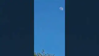 S22 ultra video zoom test