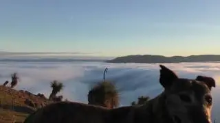 clouds
