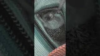храпит как пьяный мужик
