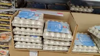 КАТАСТРОФА! ВЕЛИКОЕ ПАДЕНИЕ ЯИЧНЫХ ЦЕННОСТЕЙ!!!