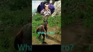 New World Proximity Chat Is The Best lol