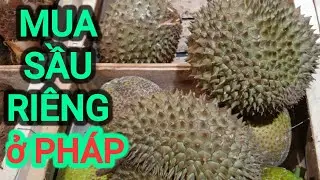❤ Mua Sầu Riêng Viet-Nam ở Pháp 🇨🇵 ❤