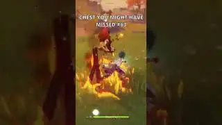 HIDDEN CHEST you might have missed #63 | Genshin Impact 