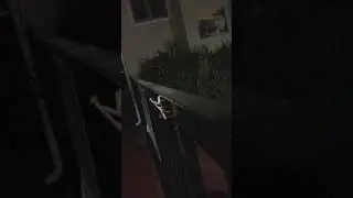 hi
