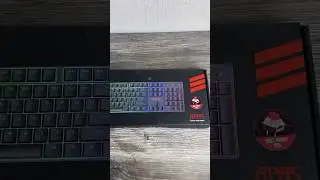 ASMR Apas