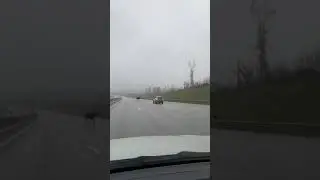 Лось на М11 в районе Черной Грязи