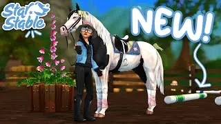 NEW Paddock Props and Race Rambles | Star Stable
