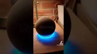 Tiktorisa | pelea entre asistente alexa, google y siri | por Iken