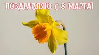 САМОЕ КРАСИВОЕ ПОЗДРАВЛЕНИЕ С 8 МАРТА