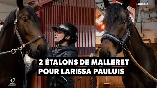 2 fabuleux étalons de Malleret pour Larissa Pauluis