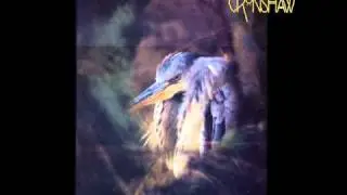 Andrew Cronshaw - Wasps In The Woodpile (HQ Audio)