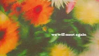 Ptr. - We Will Meet Again