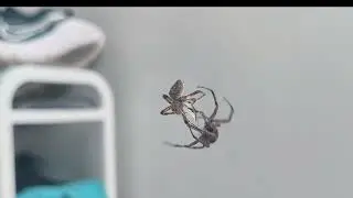 Akala nya match sila