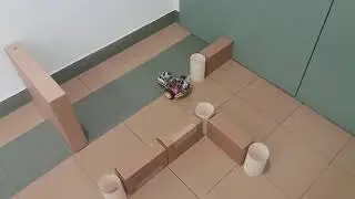 Robot dog in the labyrinth (one entrance and one exit)