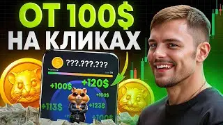 Real MONEY from Hamster Kombat!? How much WILL YOU PAY per day? LISTING 